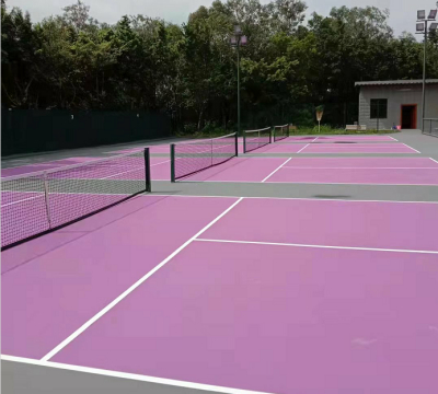 广东轻工学院匹克球场